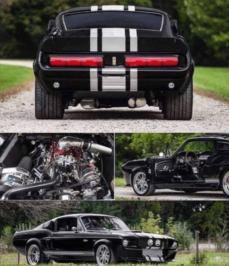 Built to Roar: Legendary Muscle Cars