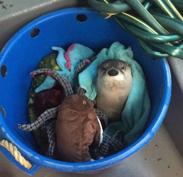 daily picdump 43 pics 21.html - 43 HD Photos | Premium Gallery 2026