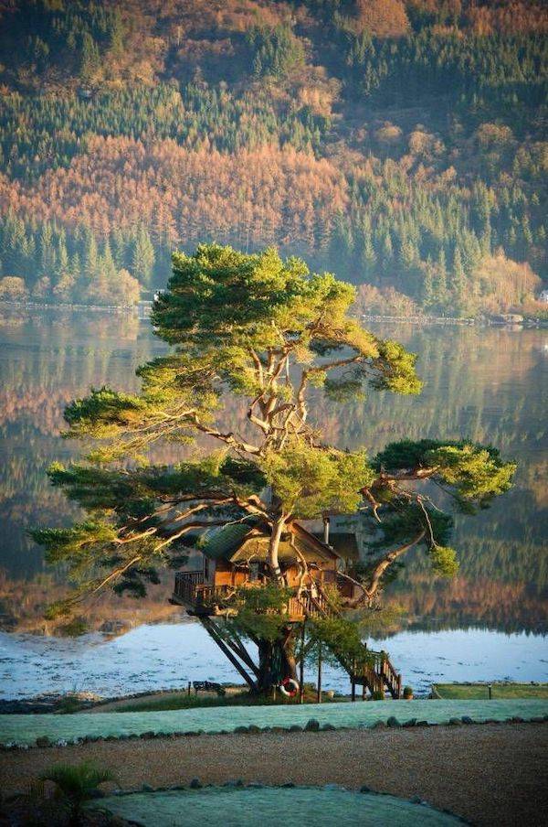 daily picdump 43 pics 21.html - 43 HD Photos | Premium Gallery 2026