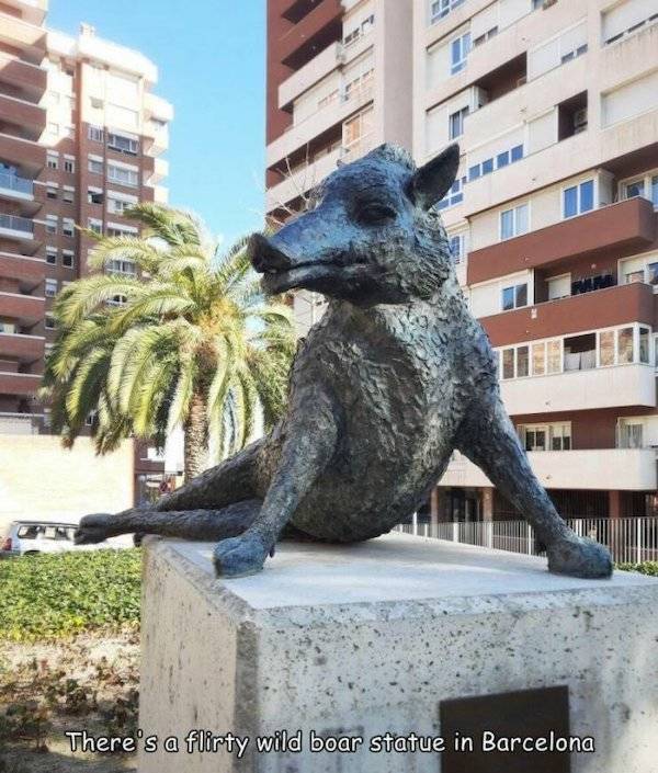 daily picdump 43 pics 21.html - 43 HD Photos | Premium Gallery 2026