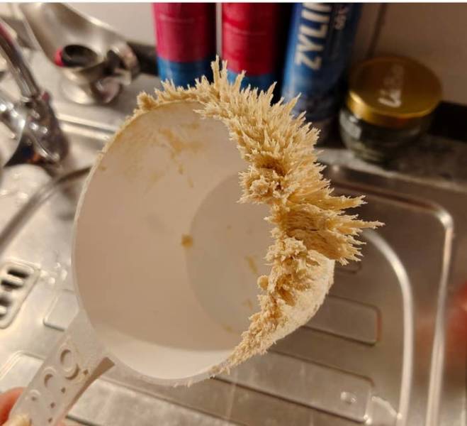 Images So Rare They Feel Unreal