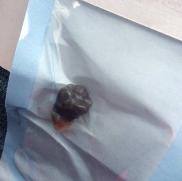 Images So Rare They Feel Unreal