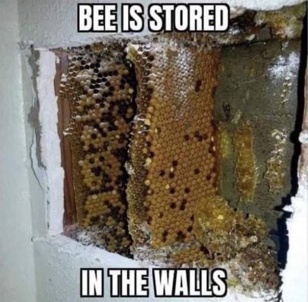 nsfw memes to add some spice to your life 33 pics 2.html - 33 HD Photos | Premium Gallery 2026