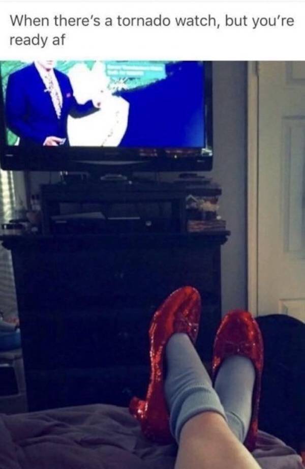 nsfw memes to add some spice to your life 33 pics 2.html - 33 HD Photos | Premium Gallery 2026