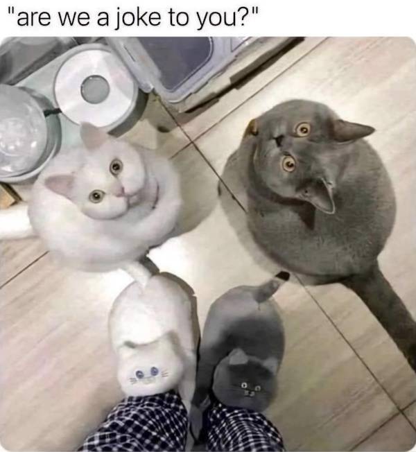 nsfw memes to add some spice to your life 33 pics 2.html - 33 HD Photos | Premium Gallery 2026