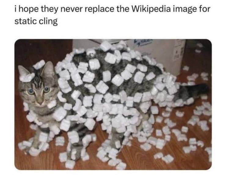 These Pics Are Comedy Gold