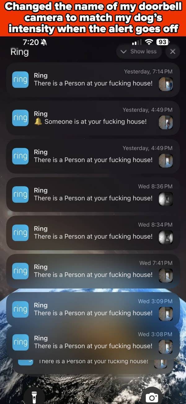 These Pics Are Comedy Gold