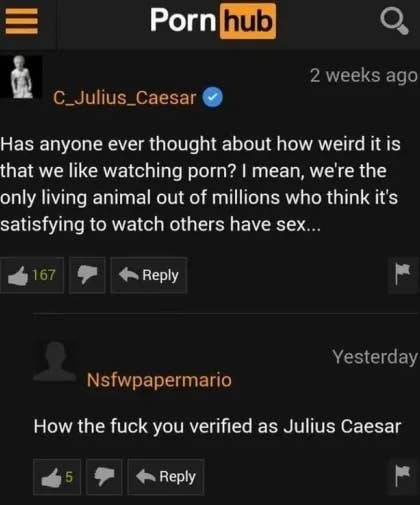 These Pics Are Comedy Gold