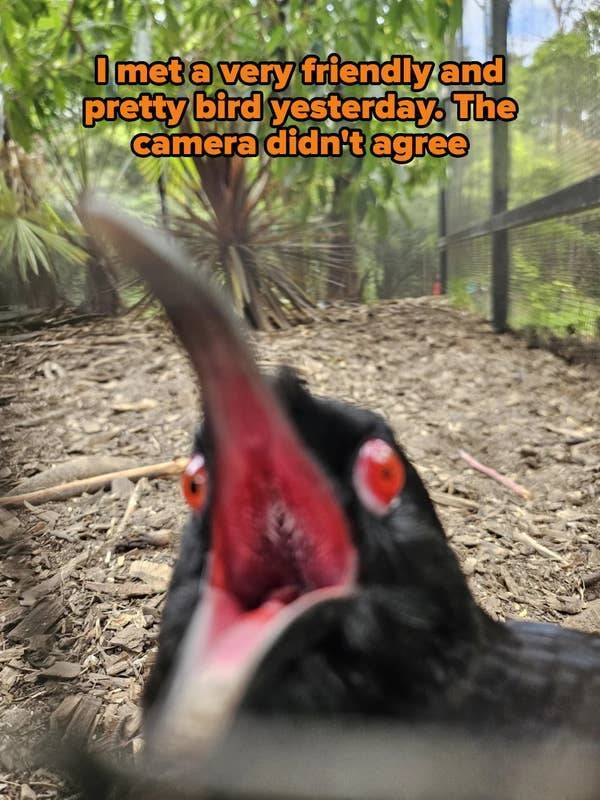 These Pics Are Comedy Gold