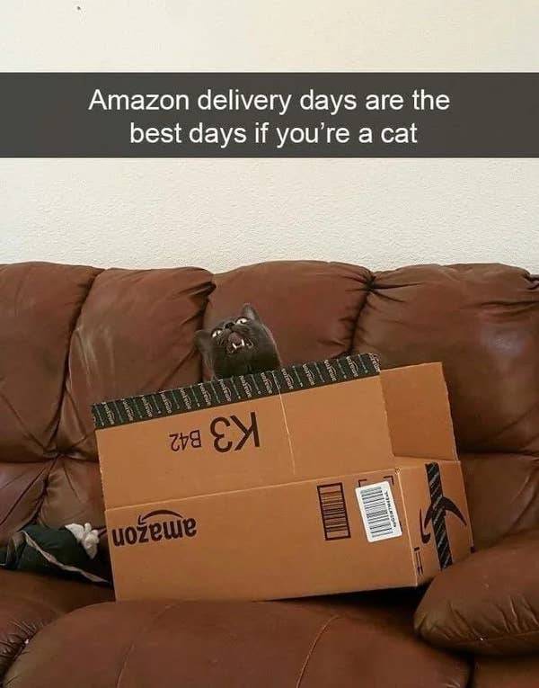 These Pics Are Comedy Gold