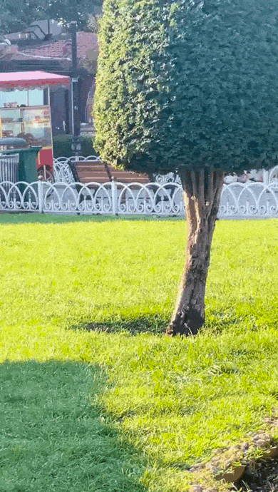 daily gifdump 47 gifs 1.html - 1 HD GIF | Premium Gallery 2026