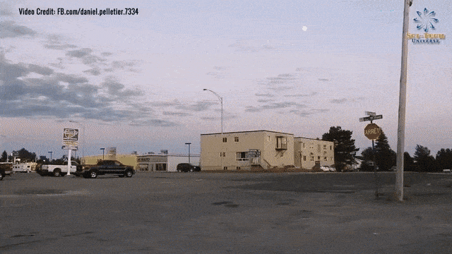 daily gifdump 47 gifs 1.html - 1 HD GIF | Premium Gallery 2026