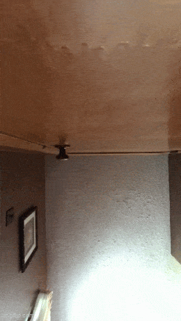 daily gifdump 47 gifs 1.html - 1 HD GIF | Premium Gallery 2026