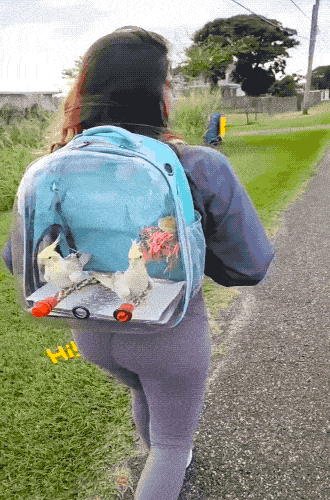 daily gifdump 47 gifs 1.html - 1 HD GIF | Premium Gallery 2026