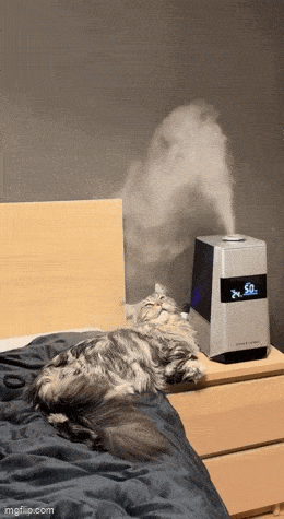 daily gifdump 47 gifs 1.html - 1 HD GIF | Premium Gallery 2026