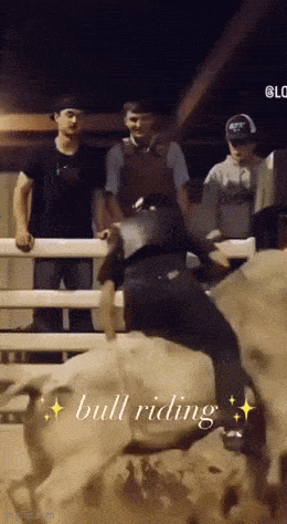 daily gifdump 47 gifs 1.html - 1 HD GIF | Premium Gallery 2026