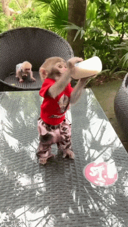 daily gifdump 47 gifs 1.html - 1 HD GIF | Premium Gallery 2026