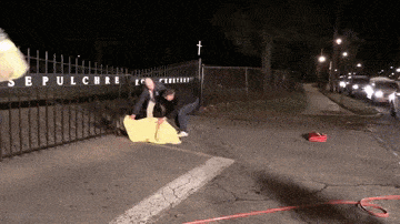 daily gifdump 47 gifs 1.html - 1 HD GIF | Premium Gallery 2026