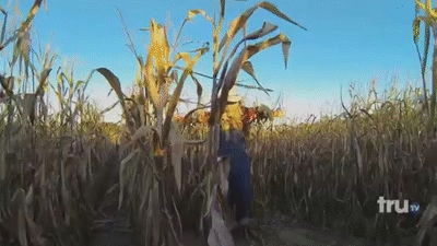 Shower Thoughts That Will Break Your Brain