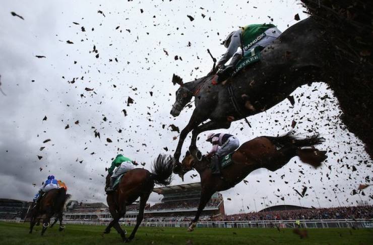 daily picdump 42 pics 2.html - 42 HD Photos | Premium Gallery 2026