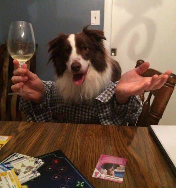 daily picdump 42 pics 2.html - 42 HD Photos | Premium Gallery 2026