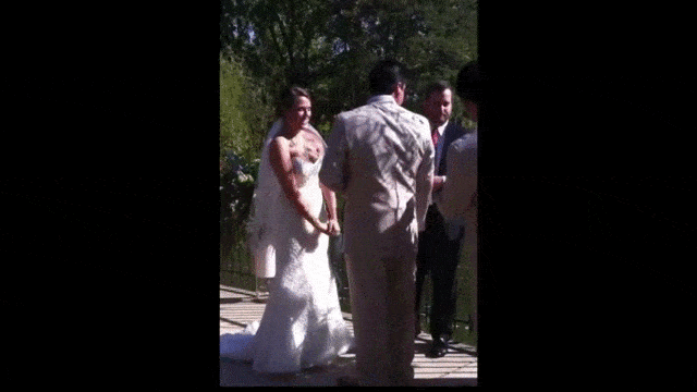 daily gifdump 50 gifs 10.html - 1 HD GIF | Premium Gallery 2026