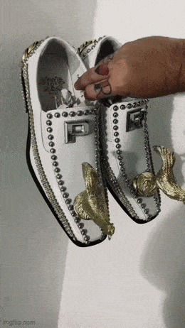 daily gifdump 50 gifs 10.html - 1 HD GIF | Premium Gallery 2026