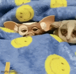 daily gifdump 50 gifs 10.html - 1 HD GIF | Premium Gallery 2026