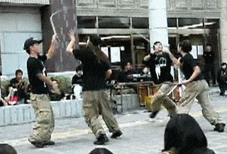 daily gifdump 50 gifs 10.html - 1 HD GIF | Premium Gallery 2026