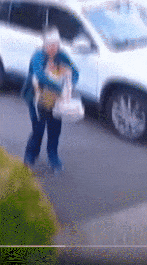 daily gifdump 50 gifs 10.html - 1 HD GIF | Premium Gallery 2026