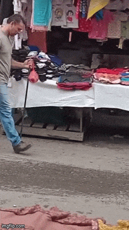 daily gifdump 50 gifs 10.html - 1 HD GIF | Premium Gallery 2026