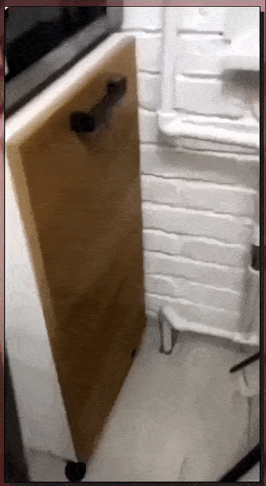 daily gifdump 50 gifs 10.html - 1 HD GIF | Premium Gallery 2026