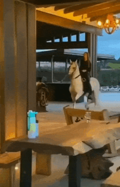 daily gifdump 50 gifs 10.html - 1 HD GIF | Premium Gallery 2026