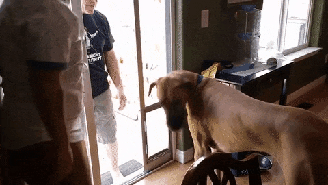 daily gifdump 50 gifs 10.html - 1 HD GIF | Premium Gallery 2026