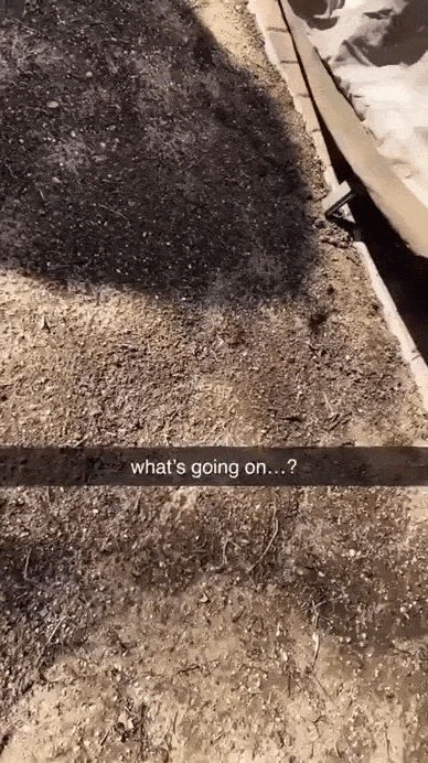 daily gifdump 50 gifs 10.html - 1 HD GIF | Premium Gallery 2026