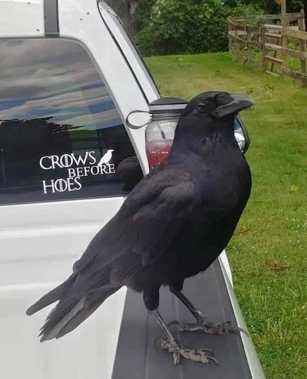 daily picdump 48 pics 2.html - 48 HD Photos | Premium Gallery 2026