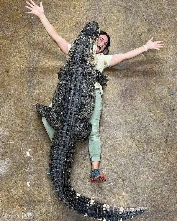 daily picdump 48 pics 2.html - 48 HD Photos | Premium Gallery 2026