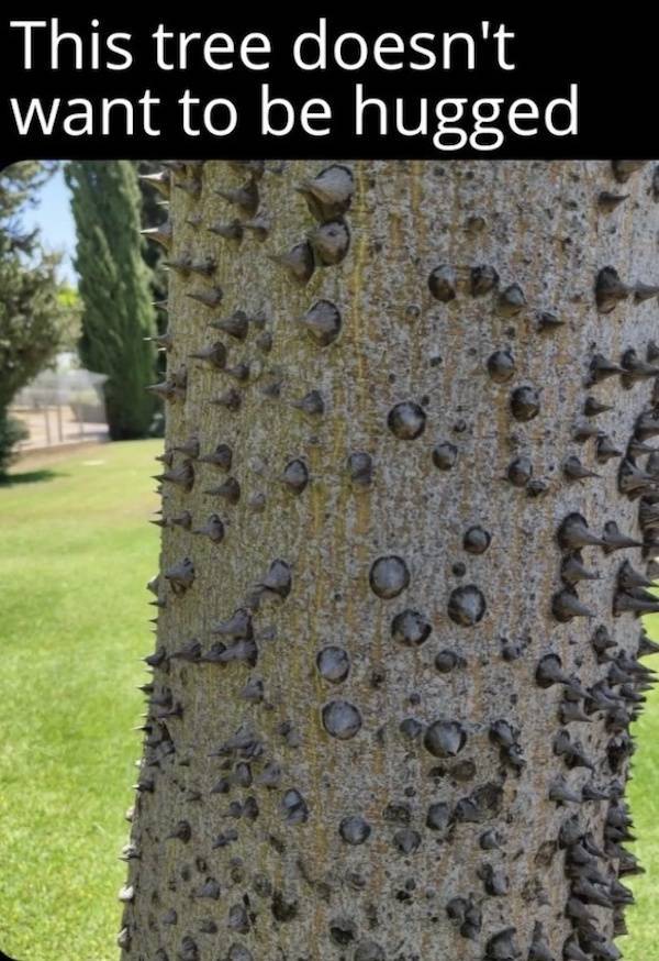 daily picdump 48 pics 2.html - 48 HD Photos | Premium Gallery 2026