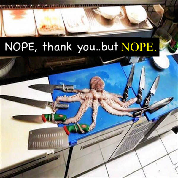 not smart but also not wrong 34 pics 3.html - 34 HD Photos | Premium Gallery 2026