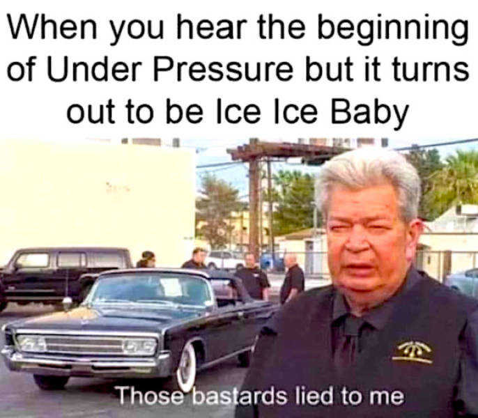 not smart but also not wrong 34 pics 3.html - 34 HD Photos | Premium Gallery 2026