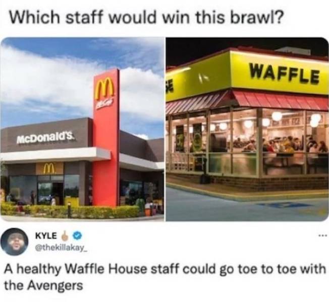 not smart but also not wrong 34 pics 3.html - 34 HD Photos | Premium Gallery 2026