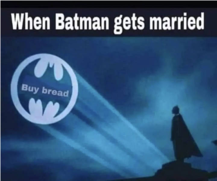 not smart but also not wrong 34 pics 3.html - 34 HD Photos | Premium Gallery 2026