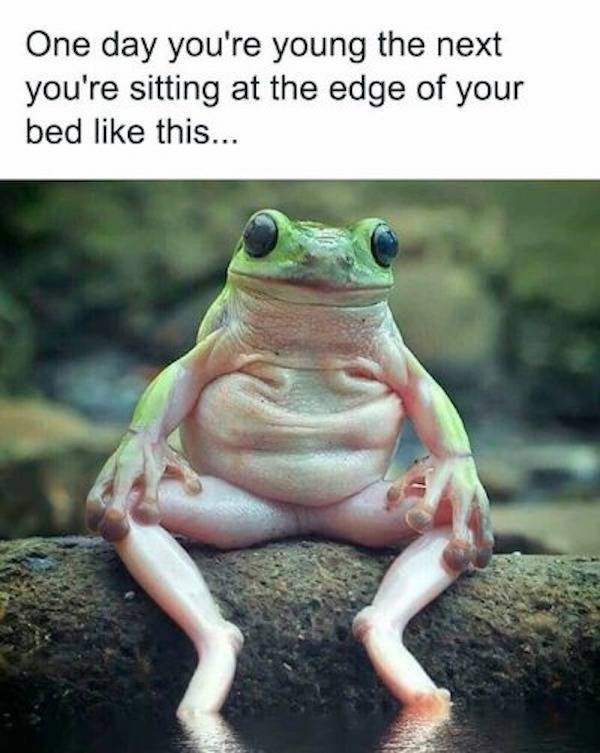 not smart but also not wrong 34 pics 3.html - 34 HD Photos | Premium Gallery 2026