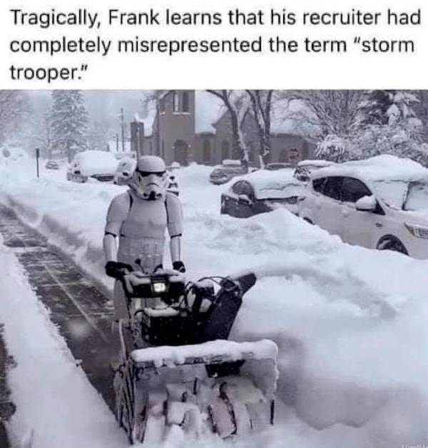 not smart but also not wrong 34 pics 3.html - 34 HD Photos | Premium Gallery 2026