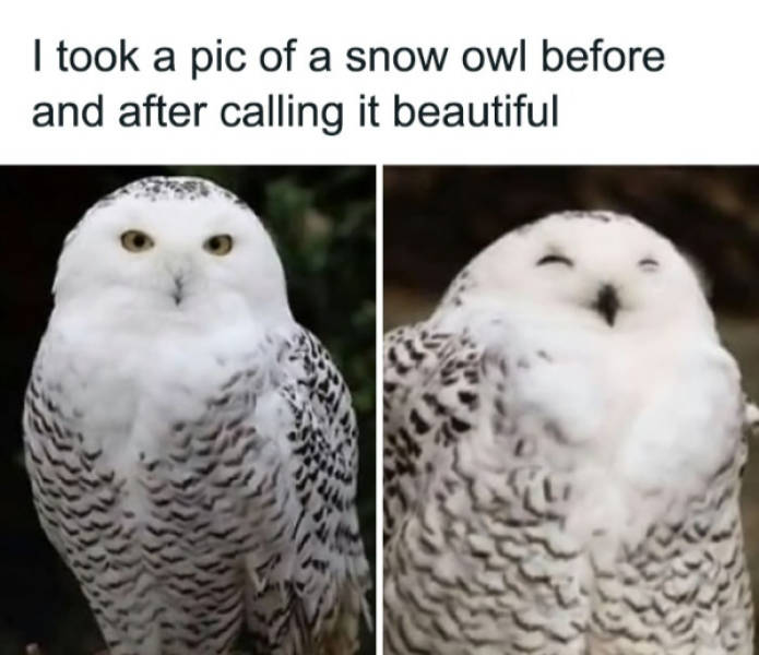 Wholesome Pictures That Feel Like a Warm Hug