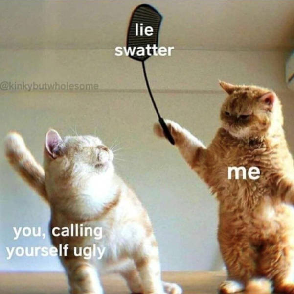 Wholesome Pictures That Feel Like a Warm Hug