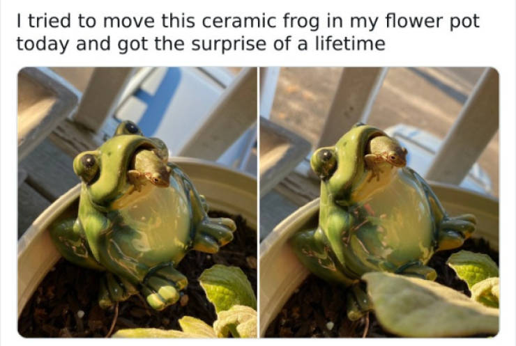 wholesome pictures that feel like a warm hug 30 pics 5.html - 30 HD Photos | Premium Gallery 2026