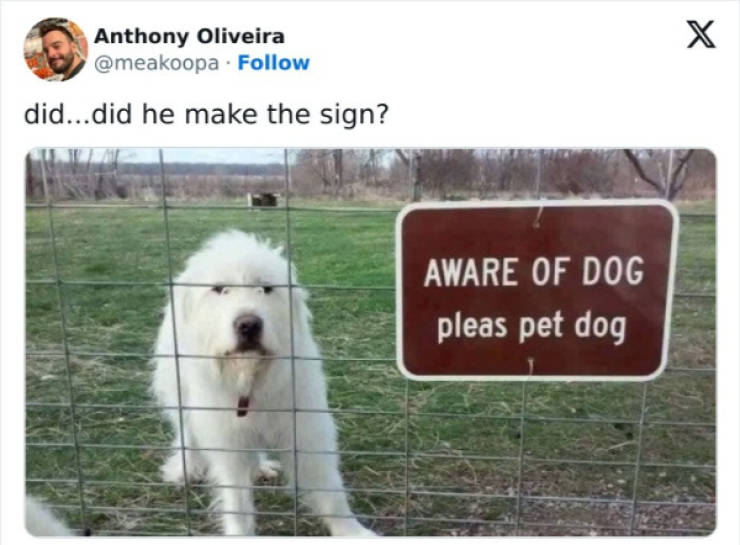 wholesome pictures that feel like a warm hug 30 pics 5.html - 30 HD Photos | Premium Gallery 2026