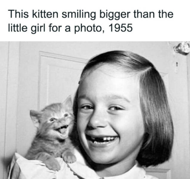 wholesome pictures that feel like a warm hug 30 pics 5.html - 30 HD Photos | Premium Gallery 2026