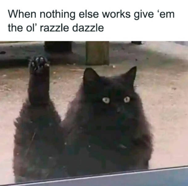 wholesome pictures that feel like a warm hug 30 pics 5.html - 30 HD Photos | Premium Gallery 2026